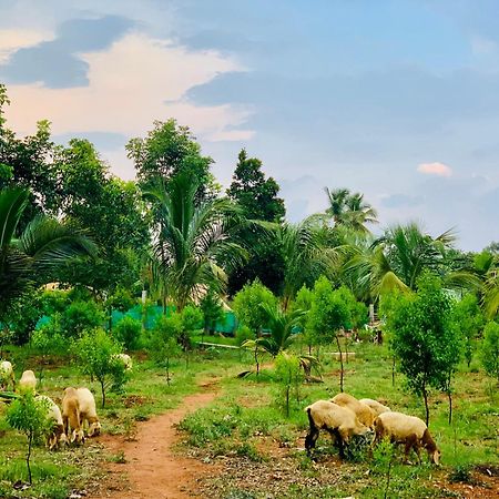 Villa Eco Farm Bangalore Exterior foto