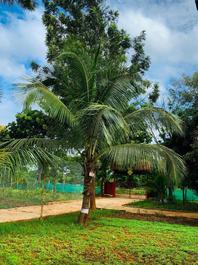 Villa Eco Farm Bangalore Exterior foto