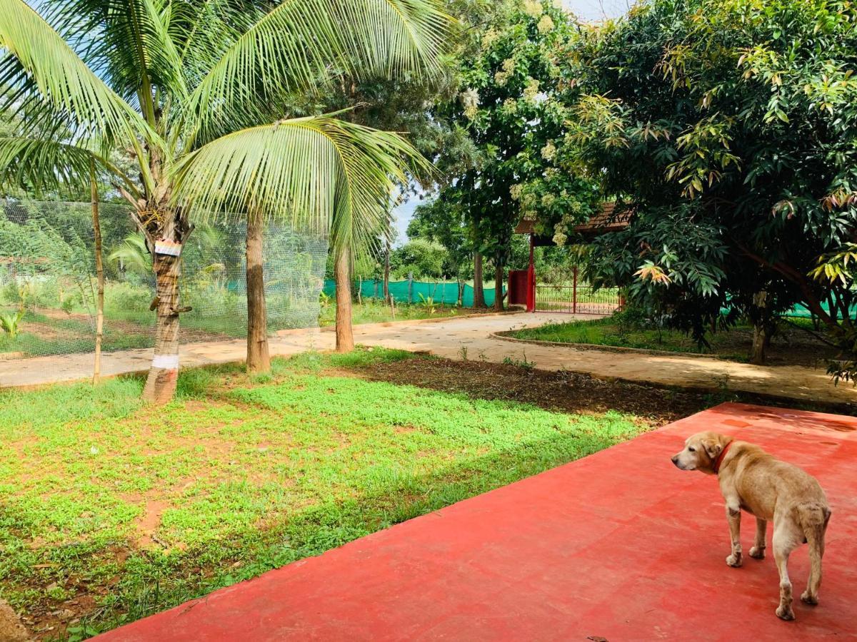 Villa Eco Farm Bangalore Exterior foto