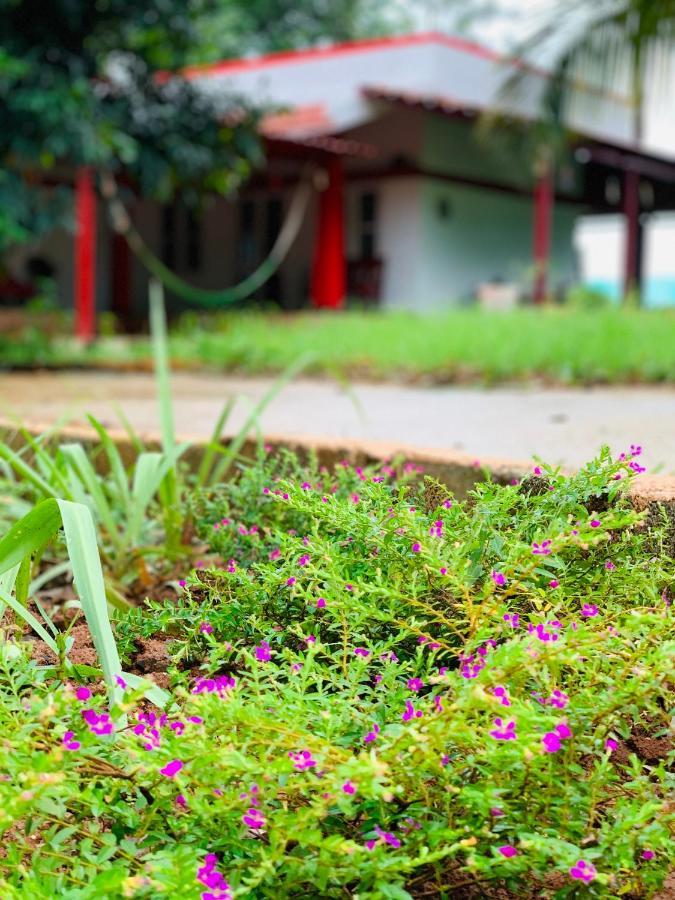 Villa Eco Farm Bangalore Exterior foto